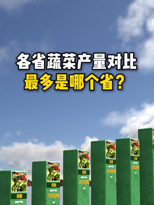 我国各省蔬菜产量,最多的是哪个省?