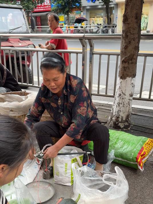 5月9日 卖鱼鳅串丈母娘收朋友所托挖点马兰头，再摘四季豆南瓜摆摊，现场生意火爆
