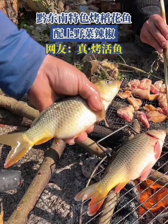 黔东南特色烤稻花鱼,配上野菜辣椒,网友:真·烤活鱼