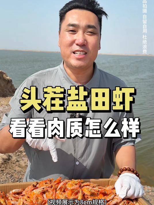 孩子的零食就选这种九节虾干好吃营养又健康