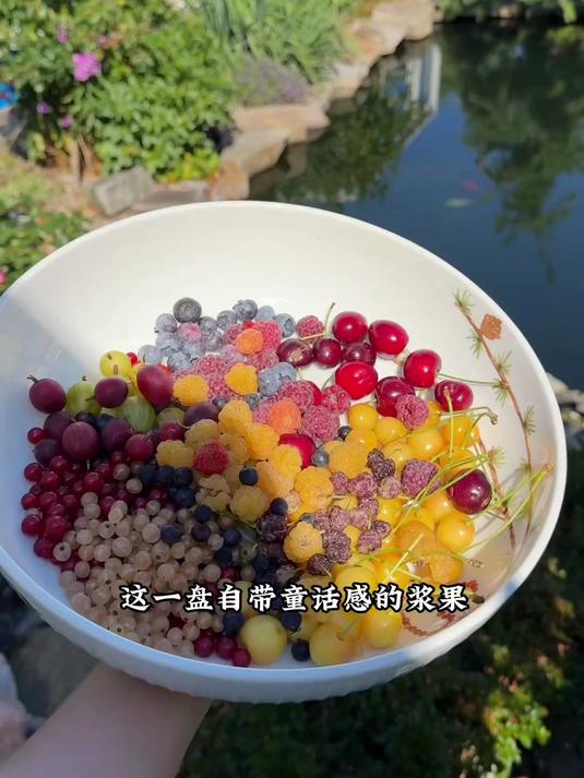 在后院采摘一盘北欧夏日限定浆果做蛋糕