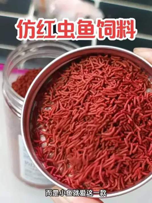 仿红虫鱼粮蛋白高营养足 鱼儿爱吃还能增体增色