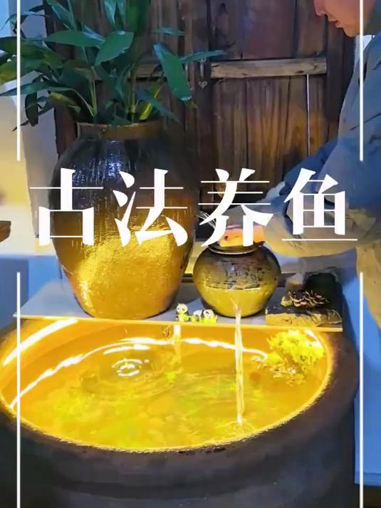 古法养鱼，花最少的钱办事，做出来的流水鱼缸感觉还可以