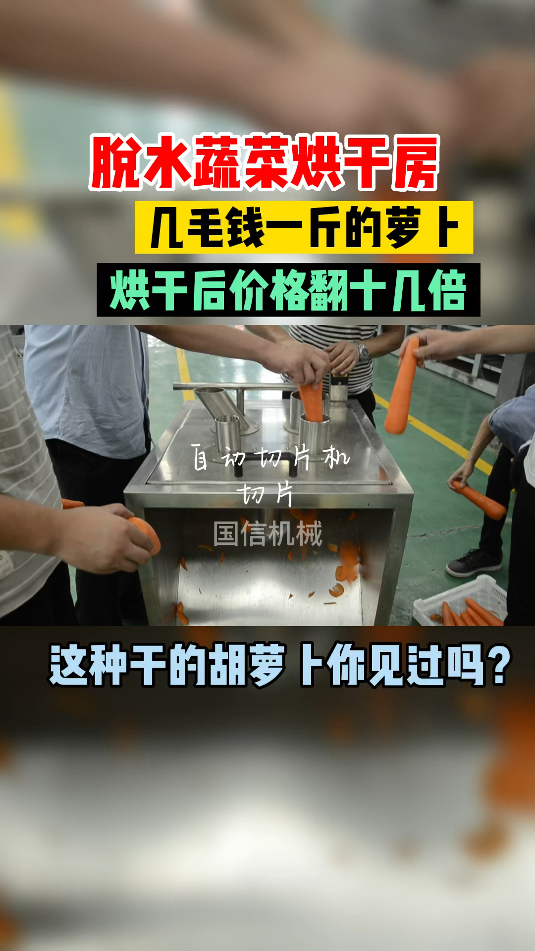 脱水蔬菜烘干房 红萝卜烘干机设备 快速烘干 烘干效果好