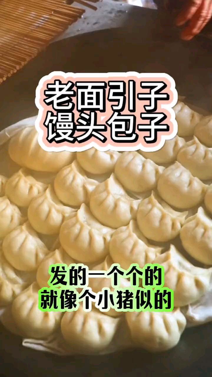 还不会用老面引子蒸馒头包子?赶快来看看这个视频吧,新手小白也能学会