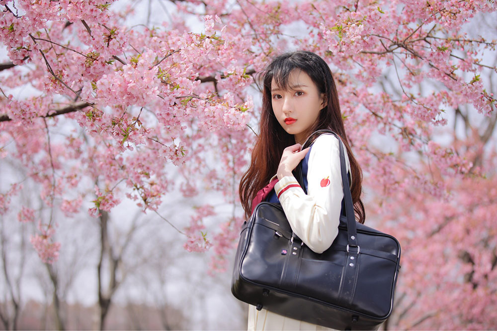 樱花-六色网