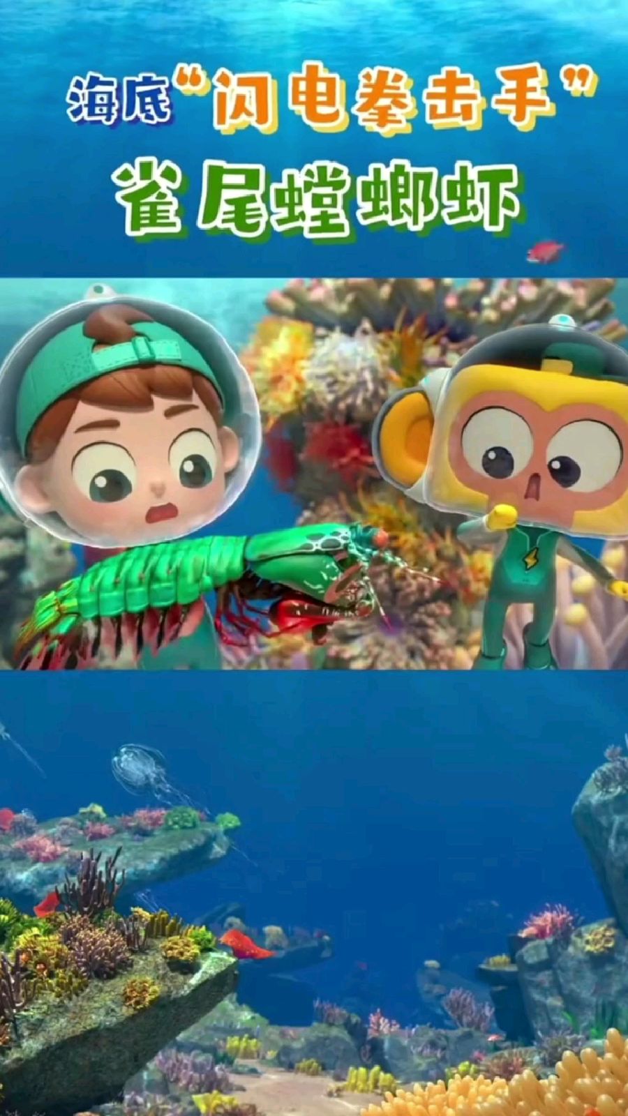 斑马百科 雀尾螳螂虾