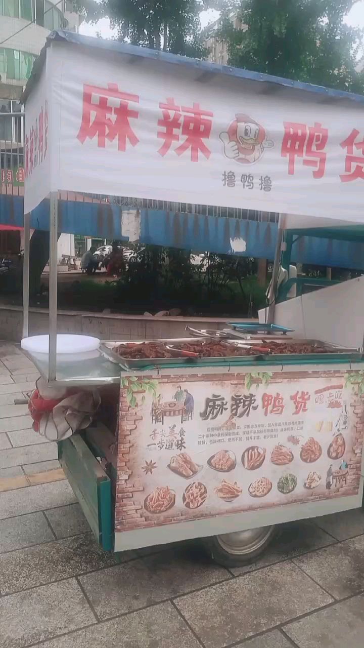 摆摊第一天,卖鸭货