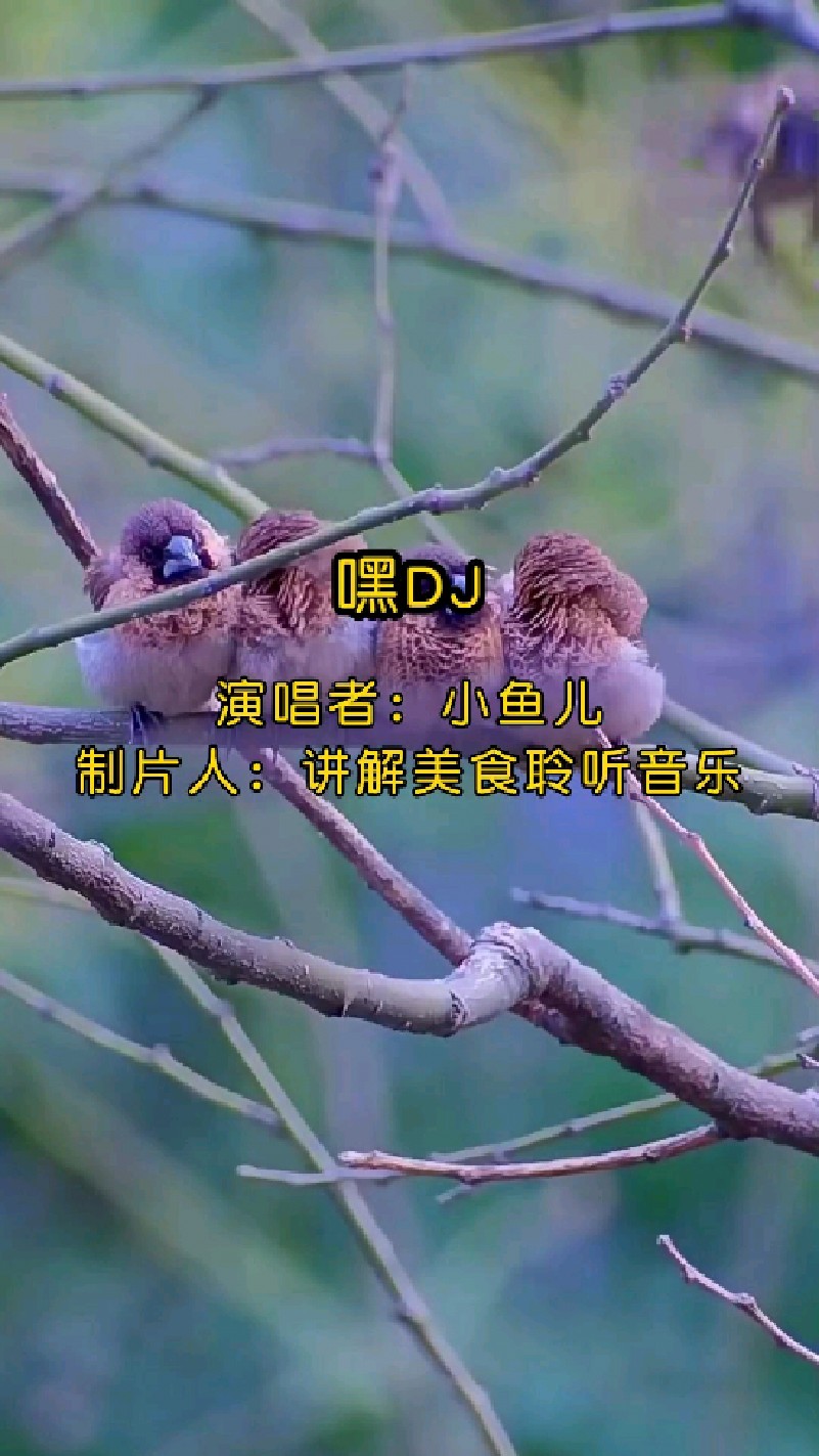 《嘿DJ》由小鱼儿演唱的一首经典歌曲