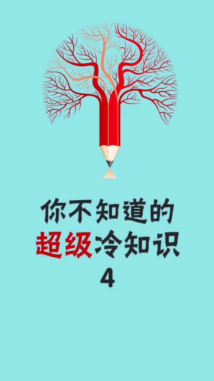 冷知识:重庆鸡公煲是重庆的吗?