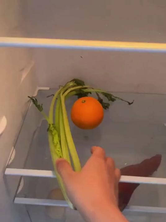 家里蔫儿了的芹菜被迫营业了一下