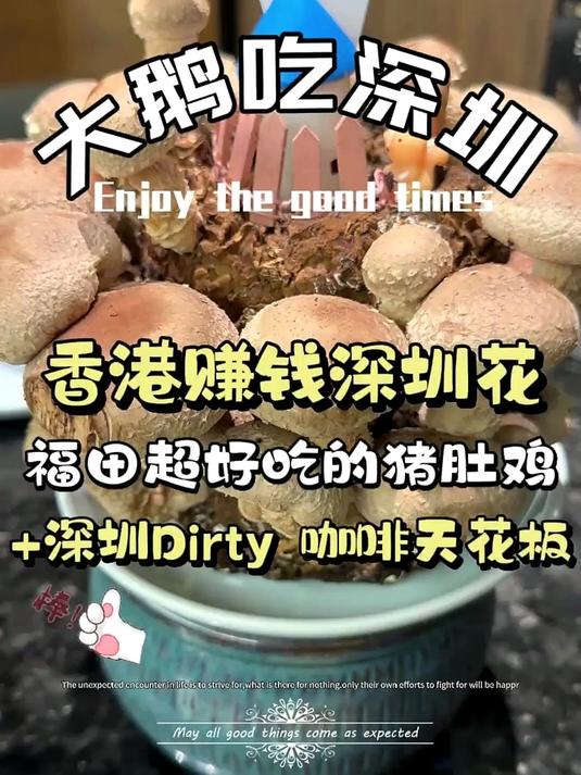 号称深圳Dirty咖啡天花板+粤氏猪肚鸡火锅,吃过的朋友觉得怎么样