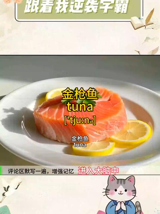 “金枪鱼”的英语怎么说？