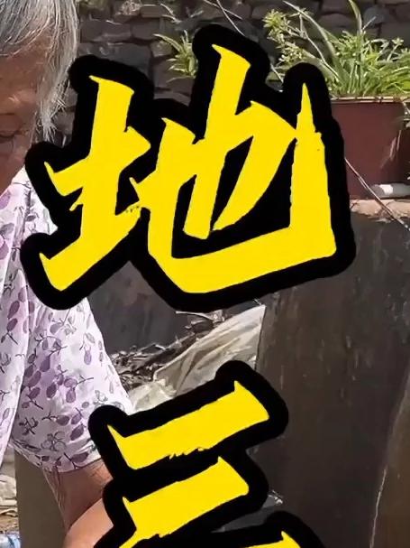 纯正东北地三鲜，哈哈