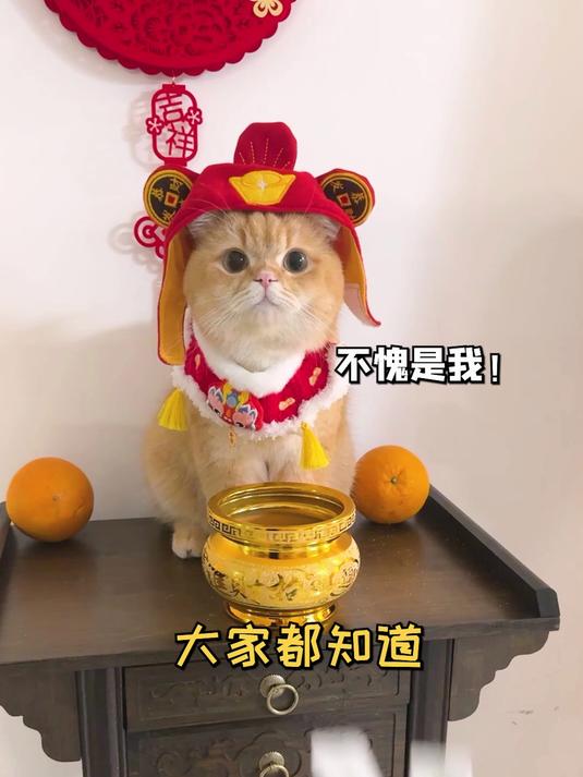 小马宝莉