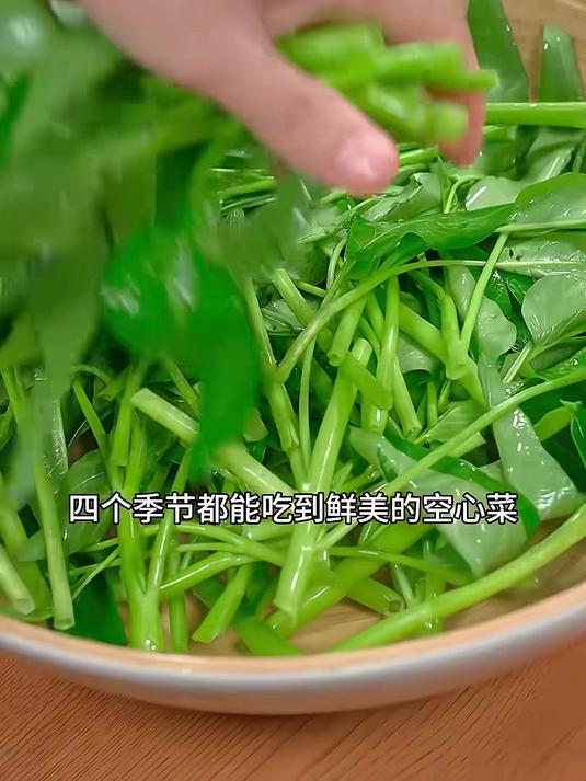 爆汁空心菜籽,茎秆脆得像黄瓜,炒菜自带清甜味
