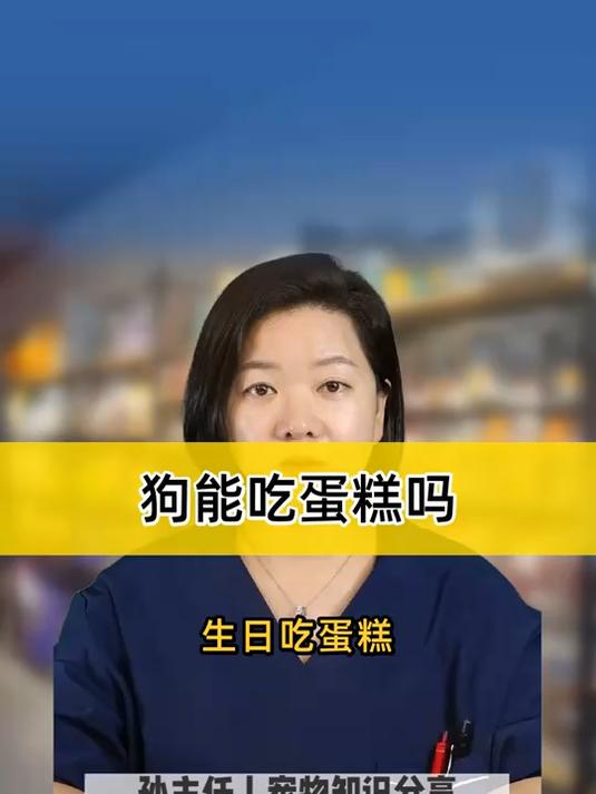 狗能吃蛋糕吗