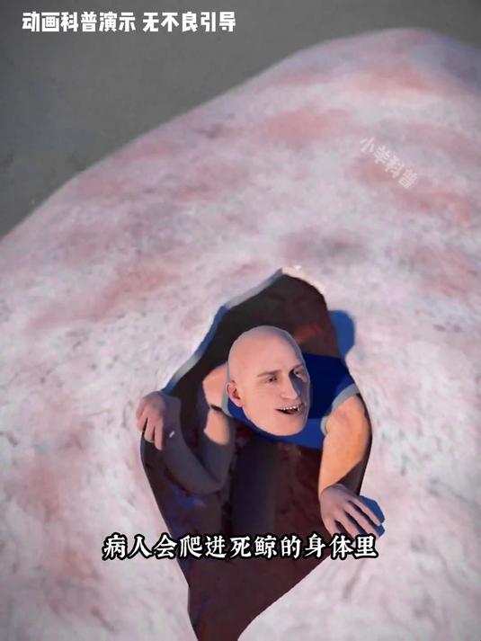 大开眼界！3D 动画还原鲸鱼酒店