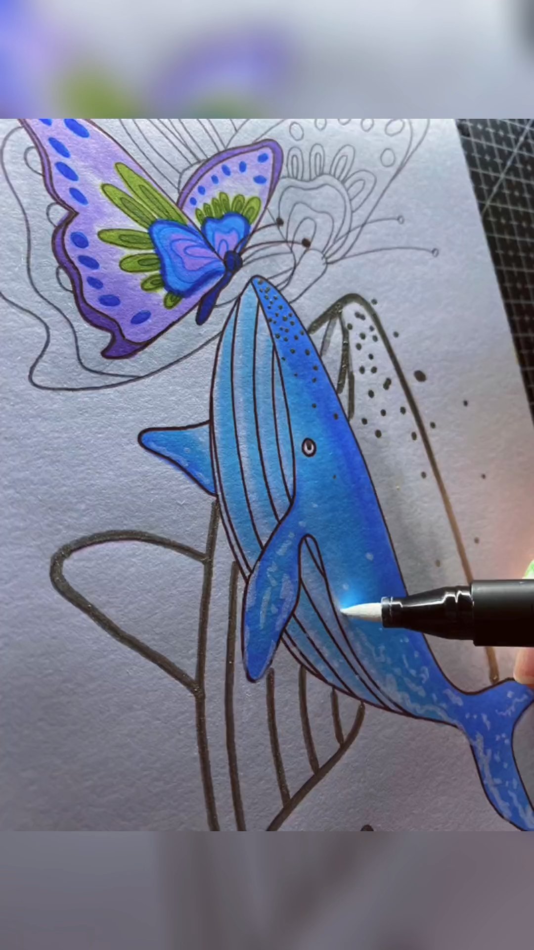 手绘蝴蝶与鲸鱼