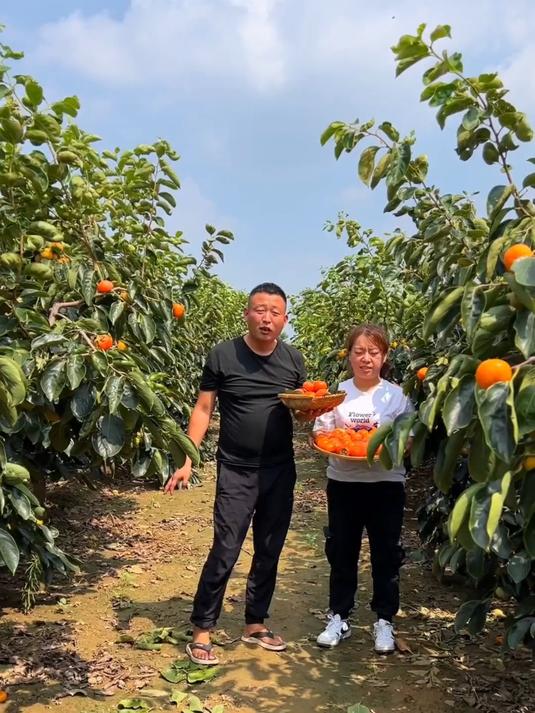 千万别直接咬!火晶柿子的正确吃法,90% 的人都错了