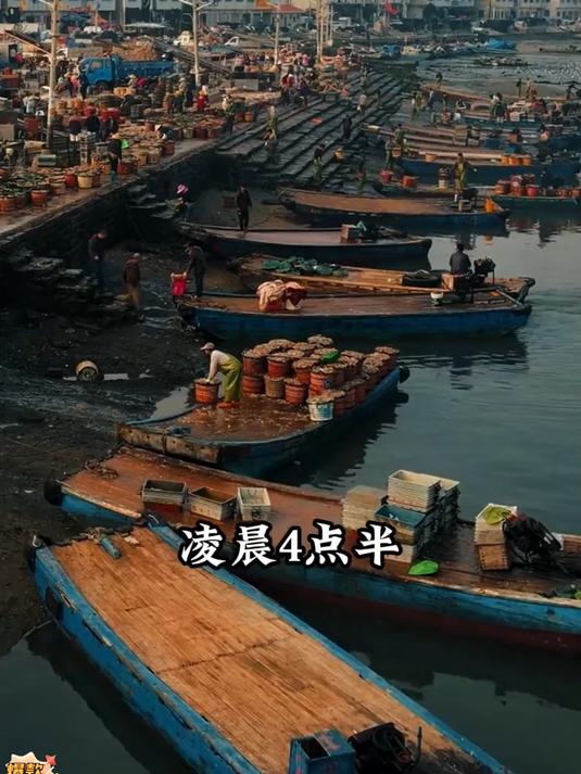 正宗福州手工鱼丸，外皮Q弹内馅爆汁，煮汤鲜醇地道#健康新势力计划#