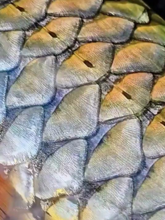 对于钓鱼人来说，即使一条鱼，也能当壁纸