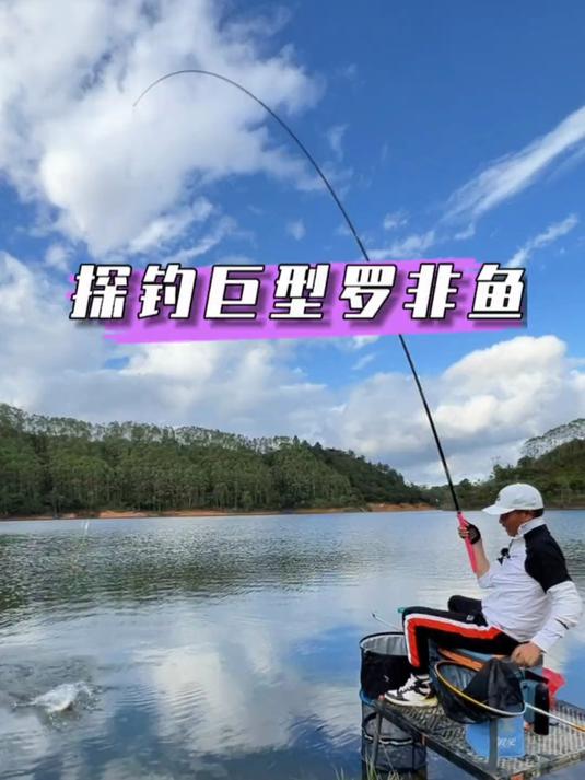探钓巨型罗非鱼，3米6的短杆拉的呼呼作响，这手感别提有多爽
