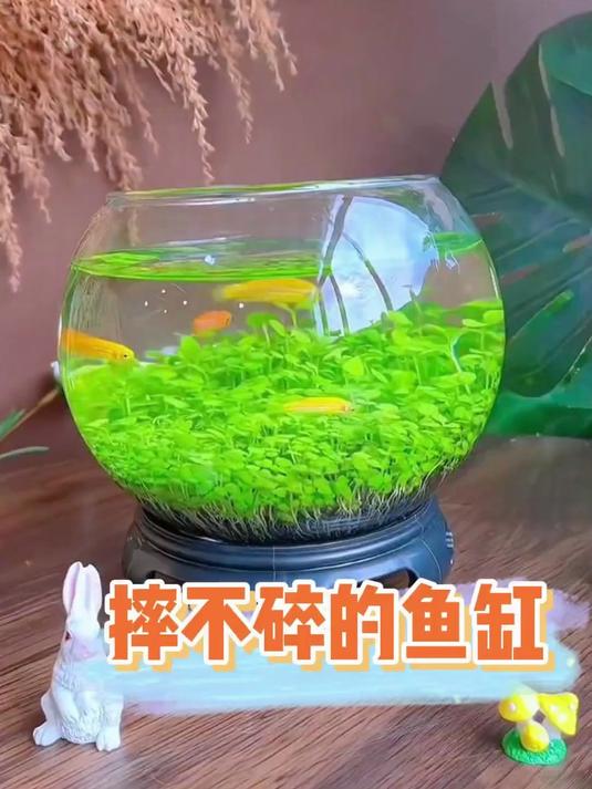 办公室桌面迷你缸!圆形塑料鱼缸一体成型,PET 材质防碎超透亮