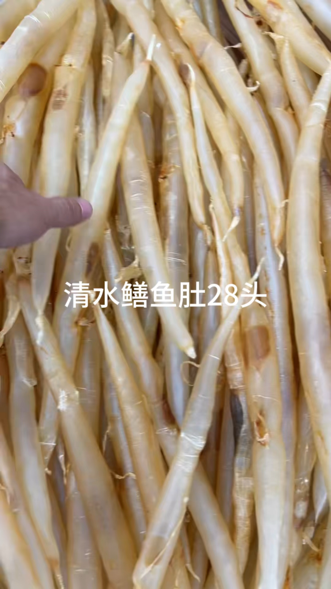 清水鳝鱼肚,清水竹叶胶条,蜘蛛片,苏里兰北海母,本港白花条,缅甸斗湖,三稔公