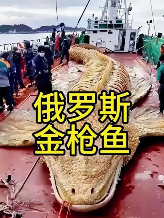 鲜香直击灵魂!金枪鱼罐头是如何做到一口封神的?