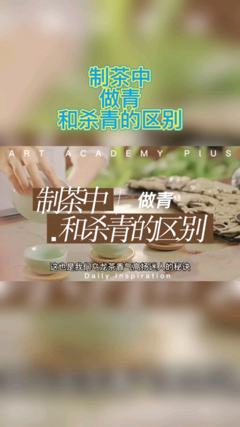 制茶中做青和杀青的区别