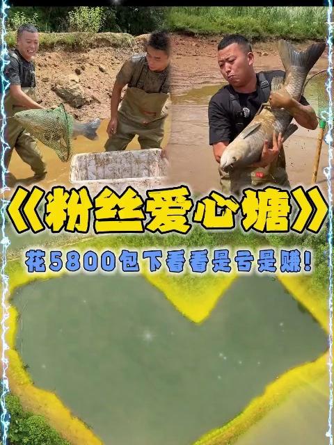 花 5800 包下口粉丝家的爱心塘，看看里面会有什么多……