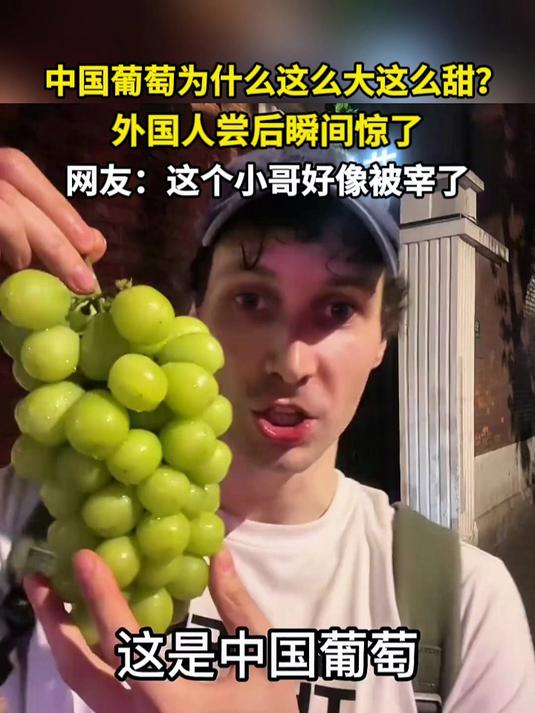 中国葡萄为什么这么大这么甜?外国人尝后瞬间惊了 网友:这个小哥被宰了