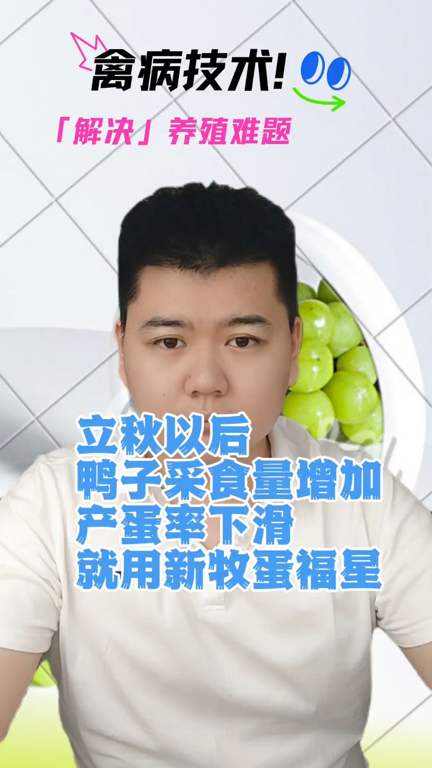 鸭子产蛋下滑的原因蛋鸭产蛋下降怎样回升快高温蛋鸭产蛋率下降夏天蛋鸭产率降低怎么办