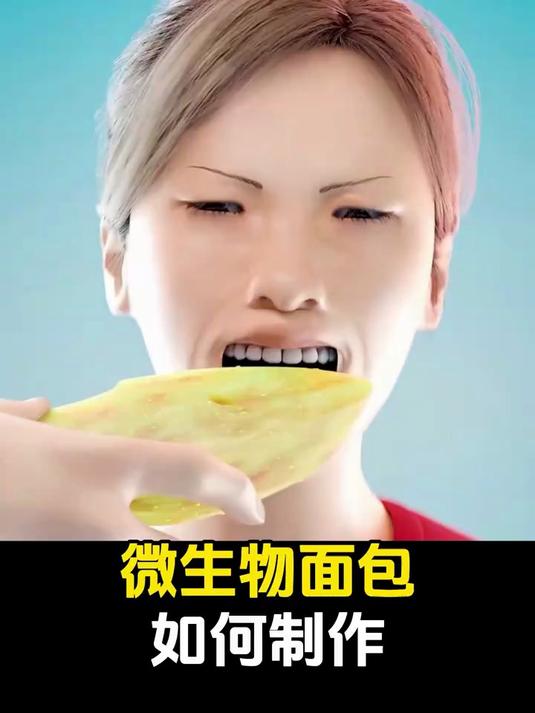 #知识科普#微生物面包如何制作