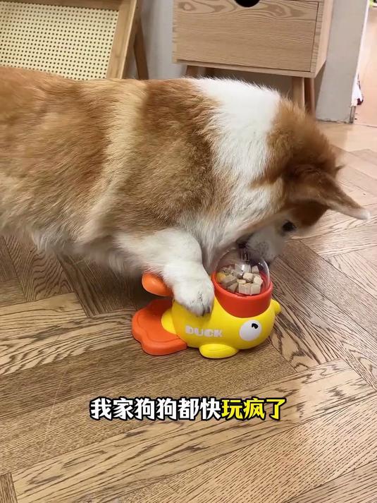 小黄鸭宠物投食机 智能狗狗漏食玩具