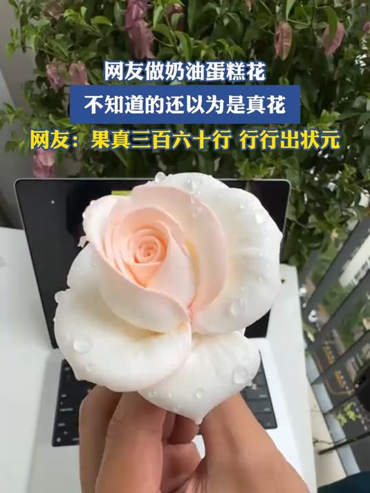 网友做奶油蛋糕花,不知道的还以为是真花
