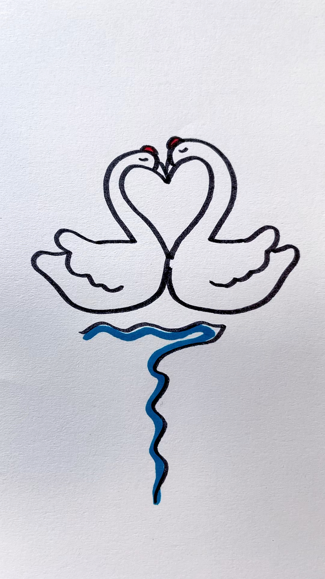 用爱心画两只天鹅