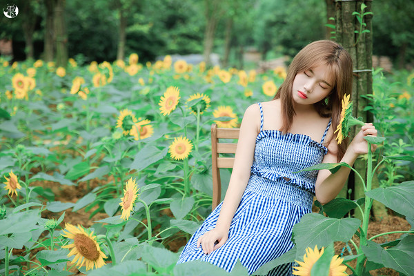 图片[2]-向日葵的少女-六色网