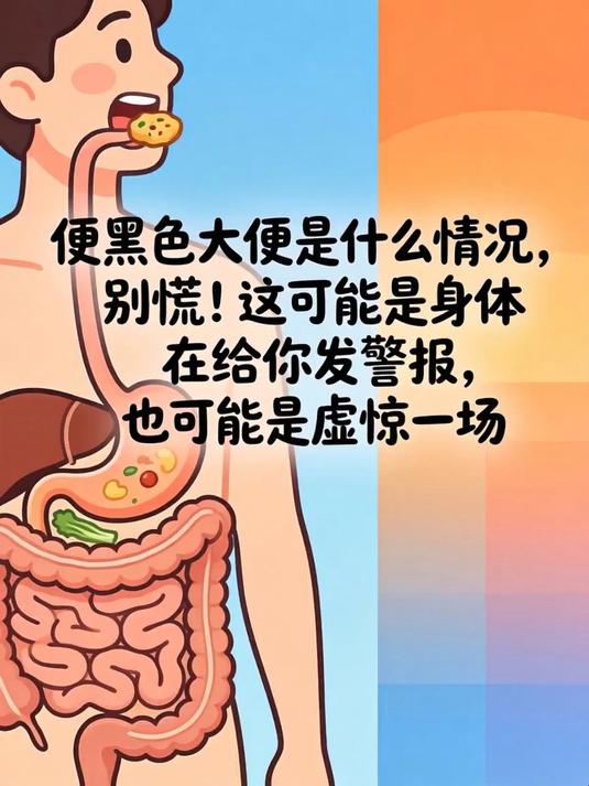 便黑色大便是什么情况，别慌！这可能是身体在给你发警报，也可能是虚惊一场