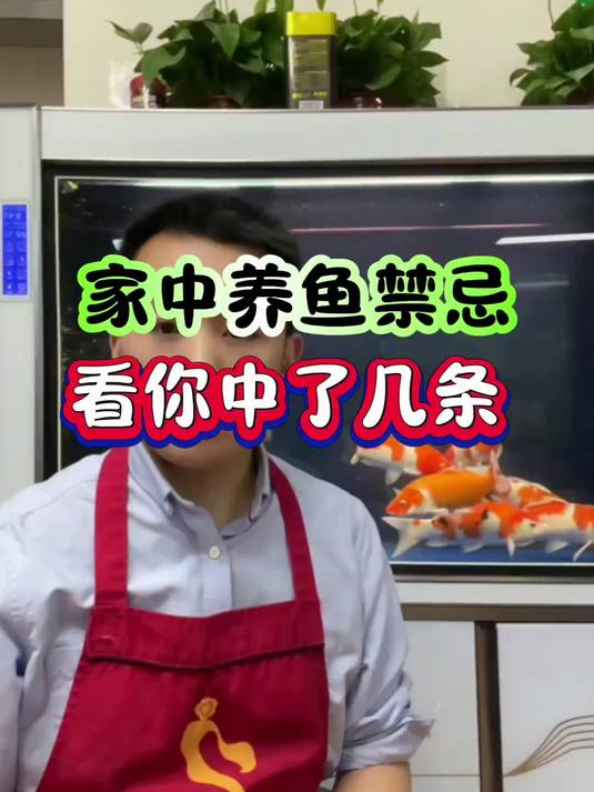 家中养鱼禁忌