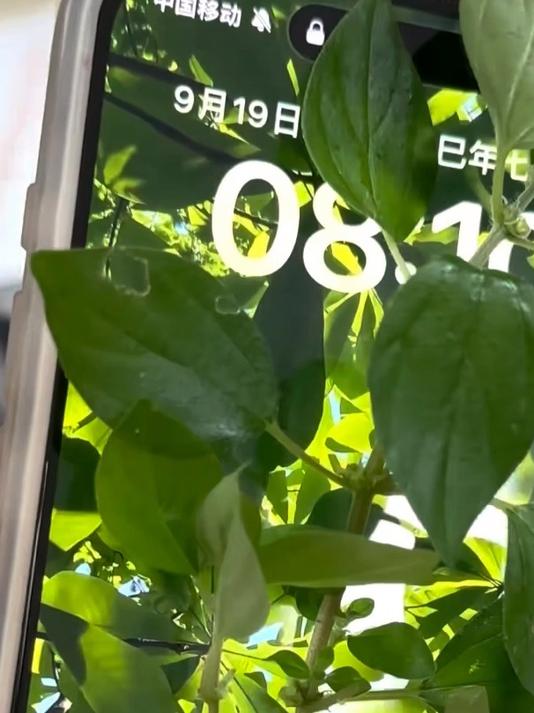 苹果IOS26系统壁纸分享,毫无违和感!