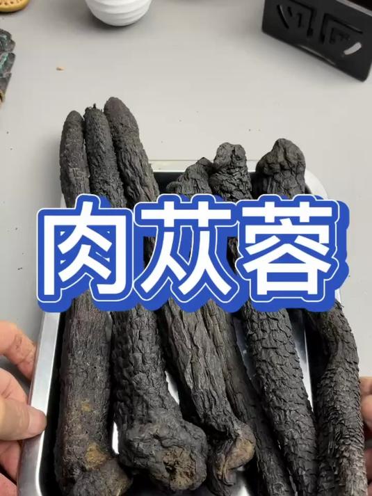 肉苁蓉,你知道多少
