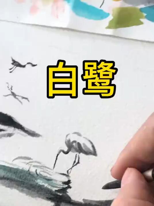 手绘课文插图白鹭,这里边有你学过的课文嘛?