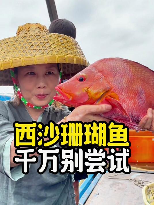 西沙珊瑚鱼千万别尝试,因为我怕你吃了就停不下来