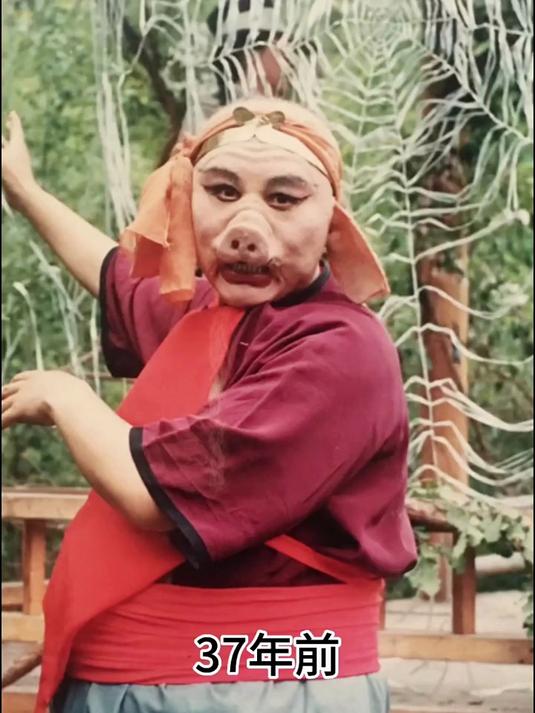 86版西游记,是谁还一直在看呢