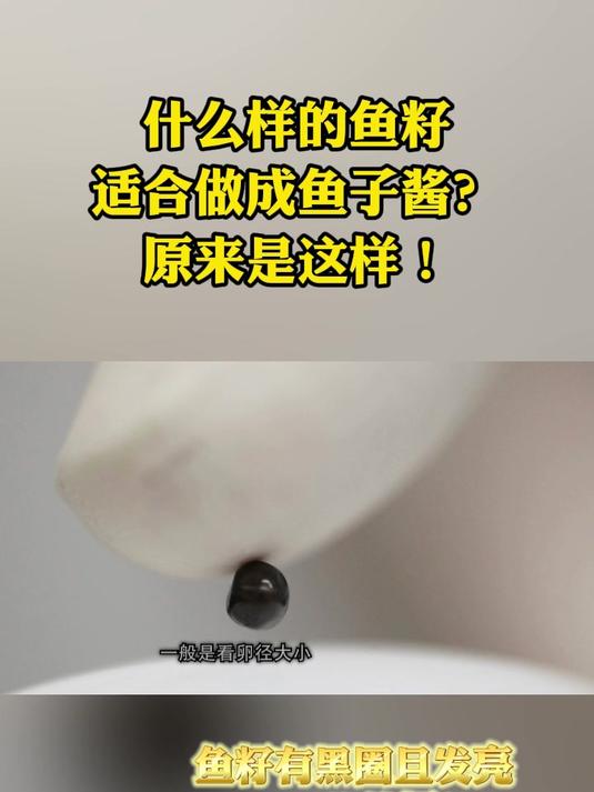 什么样的鱼籽适合做成鱼子酱?原来是这样!