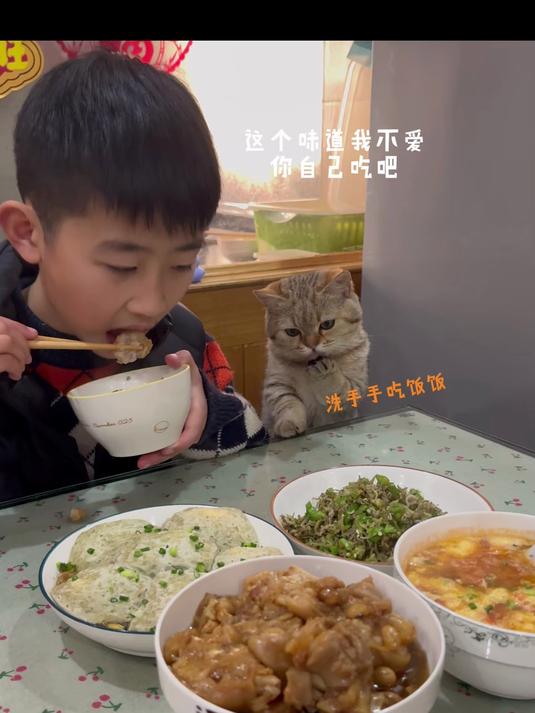 干饭猫上线,今天的菜有“耙耙”味