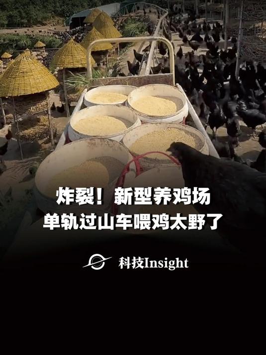 现代农业天花板！浙江山村过山车喂鸡，颠覆你对养鸡的所有想象