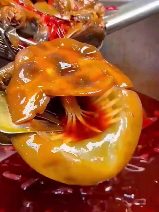 麻辣风暴席卷甲鱼肉,嚼劲十足,一口沦陷的舌尖盛宴!